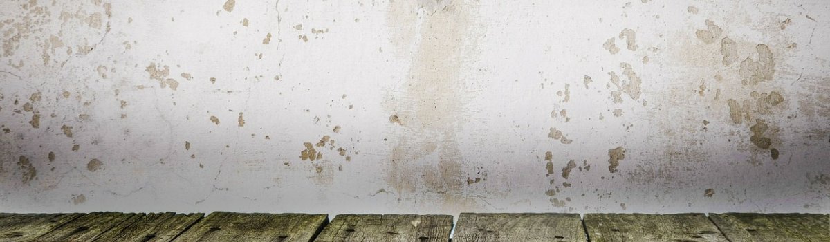 Feuchte Wände und Schimmelbildung